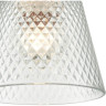 Подвесной светильник LUMION MANOLA 8049/1А SUSPENTIONI LN24 E27 1*60W 220V хром/прозрачный металл/стекло 8049/1A
